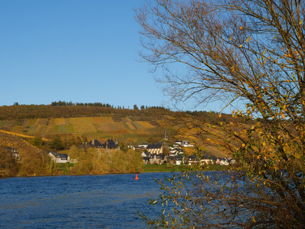 Along the Moselle riverbank towards Bernkastel-Kues